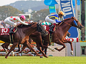 American Bloodlines Dominate Japan Cup American Bloodlines Dominate Japan Cup