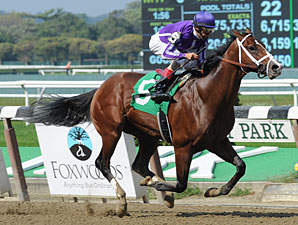 Vegas No Show Lone Stakes Winner in Nashua Vegas No Show Lone Stakes Winner in Nashua