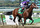 Vegas No Show Lone Stakes Winner in Nashua
