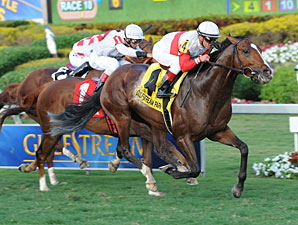 Data Link Takes Class Dip in Poker Stakes Data Link Takes Class Dip in Poker Stakes