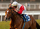 Data Link to Open 2013 in Canadian Turf
