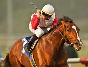McGaughey Turf Stars Primed for Gulfstream