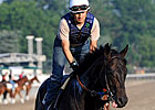Dave in Dixie a Wild Card in Belmont
