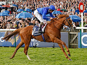 Dawn Approach Favorite Among Derby Dozen Dawn Approach Favorite Among Derby Dozen