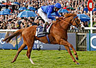 Dawn Approach Favorite Among Derby Dozen Dawn Approach Favorite Among Derby Dozen
