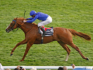 Dawn Approach: A Perfect Heir to His Sire Dawn Approach: A Perfect Heir to His Sire