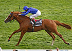 Dawn Approach: A Perfect Heir to His Sire Dawn Approach: A Perfect Heir to His Sire