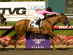 Dawnie Macho Wins California Bow in Landaluce Dawnie Macho Wins California Bow in Landaluce