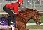 Gr. I Star Elusive Kate Choice in Filly Turf Gr. I Star Elusive Kate Choice in Filly Turf