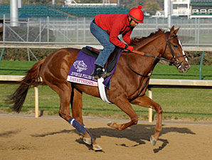 'Day' Looks Bright in Juvenile Fillies Turf 'Day' Looks Bright in Juvenile Fillies Turf