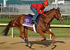 'Day' Looks Bright in Juvenile Fillies Turf 'Day' Looks Bright in Juvenile Fillies Turf