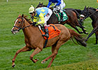 Dayatthespa Turns Tables in First Lady Stakes Dayatthespa Turns Tables in First Lady Stakes