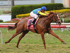 Dayatthespa Earns Grade in Herecomesthebride Dayatthespa Earns Grade in Herecomesthebride