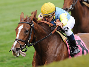 Dayatthespa Takes 'Em All the Way in QEII Cup Dayatthespa Takes 'Em All the Way in QEII Cup
