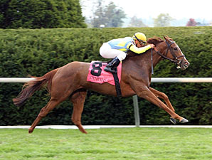 Dayatthespa Can Keep It Going in Matriarch Dayatthespa Can Keep It Going in Matriarch