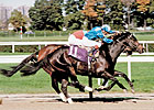 European Champion and Sire Dayjur Dead European Champion and Sire Dayjur Dead