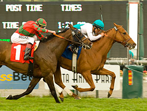 Daytona Scores in Arcadia Handicap