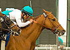 Daytona Scores in Arcadia Handicap Daytona Scores in Arcadia Handicap