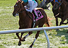 Daytona Can Start New Streak in Arcadia Daytona Can Start New Streak in Arcadia