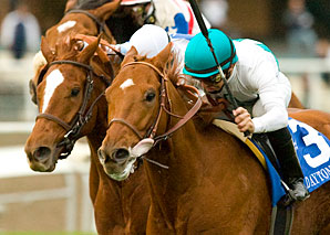 Daytona Revved Up for Shoemaker Mile Daytona Revved Up for Shoemaker Mile