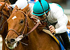 Speedy Daytona Wins Hollywood Derby Speedy Daytona Wins Hollywood Derby