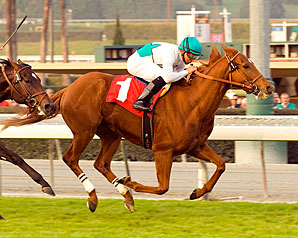 Daytona Peaks in San Gabriel Win Daytona Peaks in San Gabriel Win
