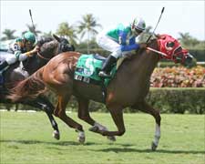 Dead Red Nails Calder Turf Sprint at 70-1 Dead Red Nails Calder Turf Sprint at 70-1