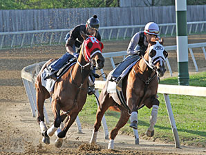 Maker Works Derby, Oaks Hopefuls in Company Maker Works Derby, Oaks Hopefuls in Company