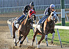 Maker Works Derby, Oaks Hopefuls in Company Maker Works Derby, Oaks Hopefuls in Company