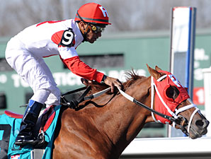 Grade II Winner Dean's Kitten Retired Grade II Winner Dean's Kitten Retired