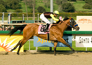 Dearest Trickski Blitzes F&M Sprint Dearest Trickski Blitzes F&M Sprint