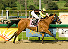 Dearest Trickski Blitzes F&M Sprint Dearest Trickski Blitzes F&M Sprint