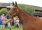 Galileo Yearling Filly Stars at Deauville Galileo Yearling Filly Stars at Deauville