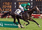 Arlington Million Winner Debussy Retired Arlington Million Winner Debussy Retired