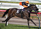 Watch the Imports in Caulfield Cup Watch the Imports in Caulfield Cup