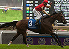Deceptive Vision Sweeps to Canadian Tally Deceptive Vision Sweeps to Canadian Tally