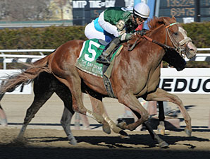 Declan's Warrior Gives Zito Bay Shore Upset Declan's Warrior Gives Zito Bay Shore Upset