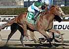 Declan's Warrior Gives Zito Bay Shore Upset Declan's Warrior Gives Zito Bay Shore Upset