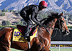 O'Brien Tries Again With Declaration of War O'Brien Tries Again With Declaration of War