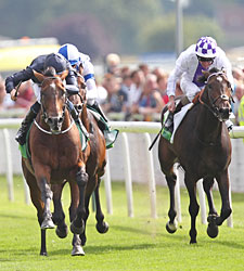 'War' Springs International Upset at York 'War' Springs International Upset at York