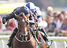'War' Springs International Upset at York 'War' Springs International Upset at York