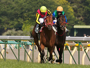 TVG to Air Group I Races from Japan TVG to Air Group I Races from Japan