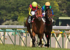 Son of Deep Impact Knocks Off Japanese Derby Son of Deep Impact Knocks Off Japanese Derby