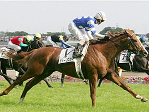Deep Sky Soars to Japanese Derby Win Deep Sky Soars to Japanese Derby Win