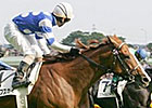 Deep Sky Soars to Japanese Derby Win Deep Sky Soars to Japanese Derby Win