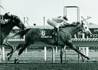 Grade II Winner Degenerate Gal Dies Grade II Winner Degenerate Gal Dies
