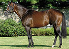 Champion Dehere Dead at 23 in Turkey Champion Dehere Dead at 23 in Turkey
