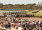 Del Mar Handle Up by 5.2%, Attendance Even Del Mar Handle Up by 5.2%, Attendance Even