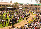 Del Mar's Paddock Sale to be Held July 20 Del Mar's Paddock Sale to be Held July 20