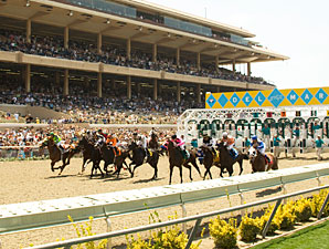 Del Mar Attendance Increases, Handle Declines Del Mar Attendance Increases, Handle Declines